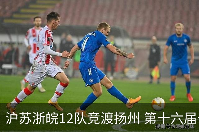 沪苏浙皖12队竞渡扬州 第十六届长三角龙舟赛擂鼓开桨