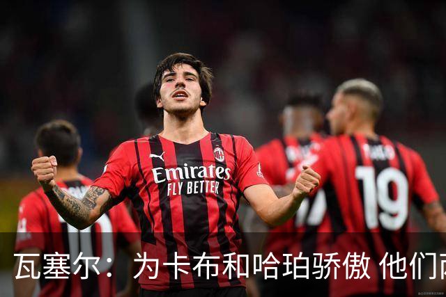 瓦塞尔：为卡布和哈珀骄傲 他们两个都有着不可限量的未来