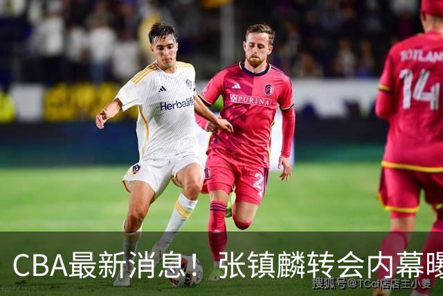 CBA最新消息！张镇麟转会内幕曝光，广东接触区俊炫，杨鸣收到北方球队报价